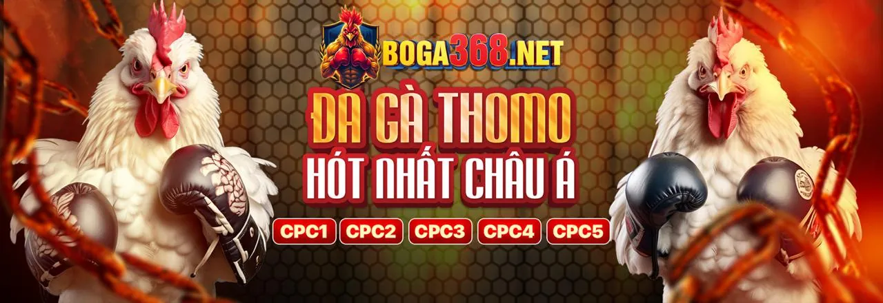 Hình ảnh chính trang tin tức Oppabet APK: Nơi cập nhật mọi thông tin nóng hổi về cá cược và giải trí trực tuyến